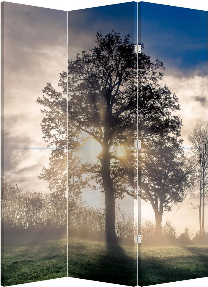 Paraván - Strom v hmle (126x170 cm)