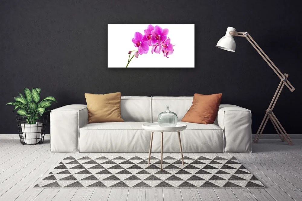 Obraz Canvas Vstavač kvet orchidea 120x60 cm