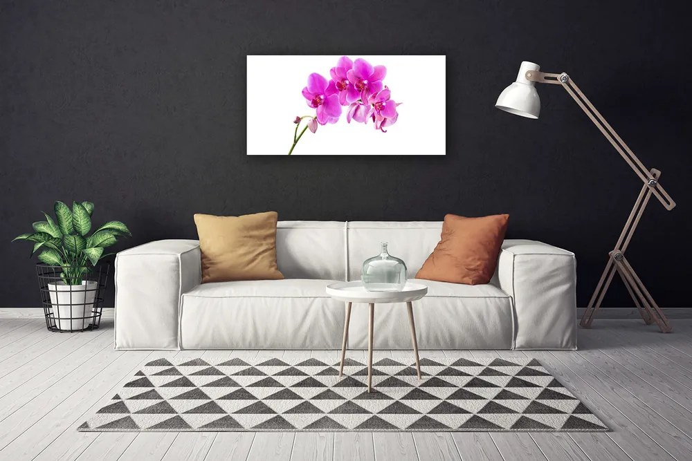 Obraz Canvas Vstavač kvet orchidea 140x70 cm