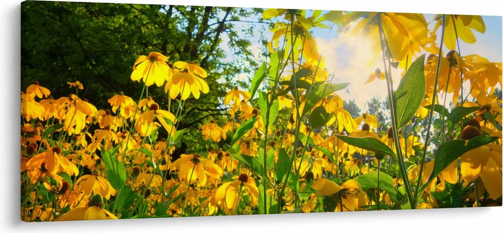 Obraz žltých kvetov (120x50 cm)