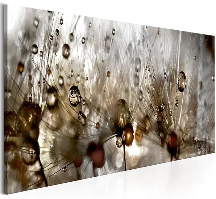 Obraz - Drops of Water Veľkosť: 150x50, Verzia: Premium Print