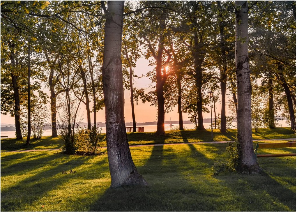 Sklenený obraz stromov pri jazere (70x50 cm)