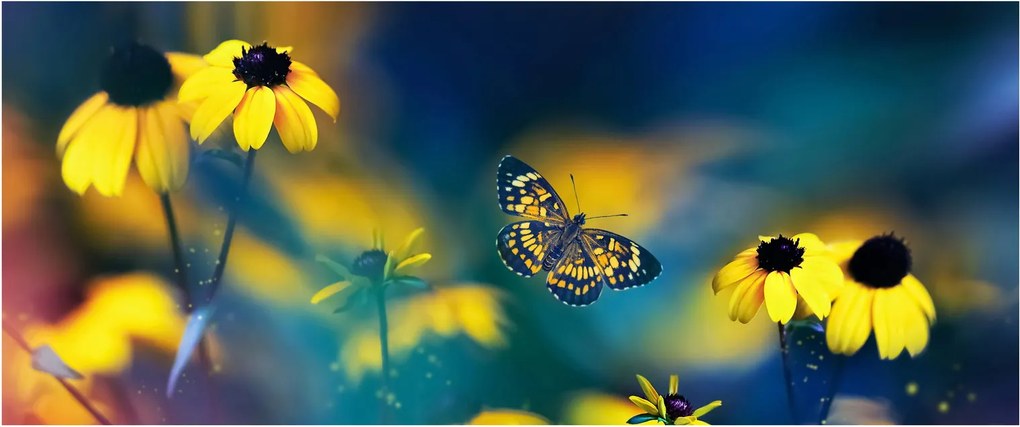 Obraz - Žltý motýľ s kvetmi (120x50 cm)