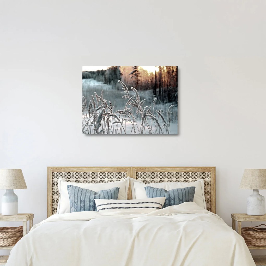 Sklenený obraz - Zamrznutá lúka (70x50 cm)