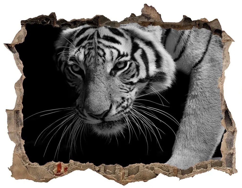 Díra 3D foto tapeta nálepka Tiger nd-k-89533463