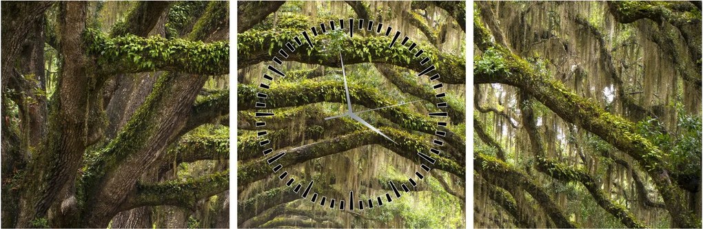 Obraz - Oaks Avenue, Charleston, Južná Karolína, USA (s hodinami) (90x30 cm)