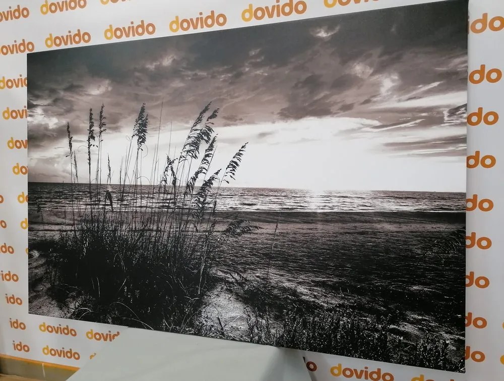 Obraz západ slnka na pláži v čiernobielom prevedení