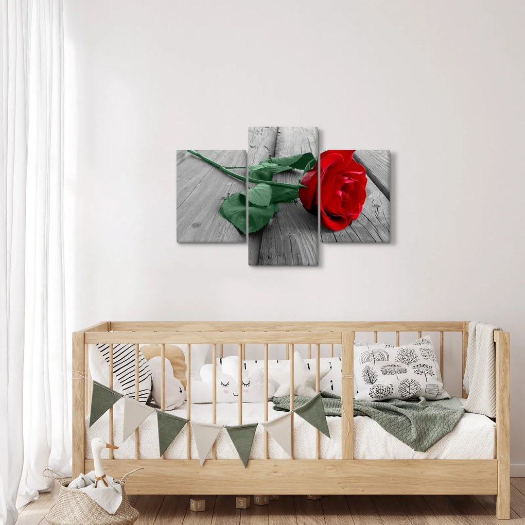 Obraz - Červená ruža so zelenou stonkou (90x60 cm)