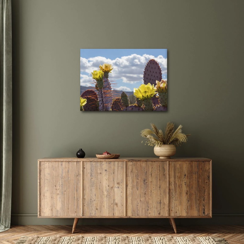 Obraz opuncie (70x50 cm)