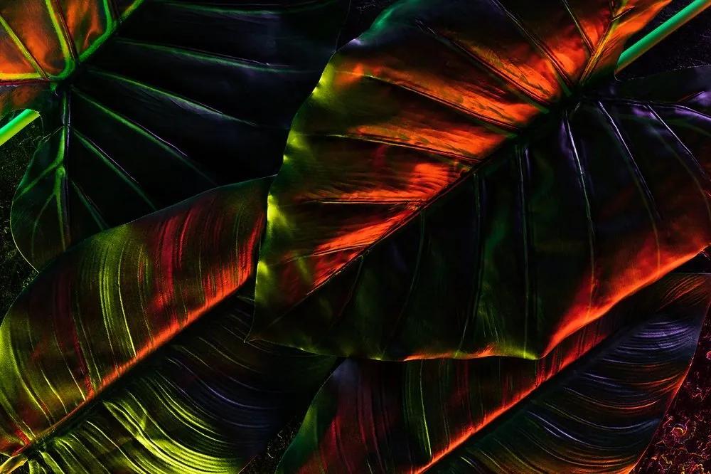 Samolepiaca tapeta tropické palmové listy - 225x150