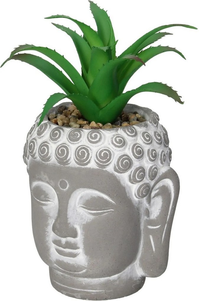 Dekorácie Aloe Buddha 17cm