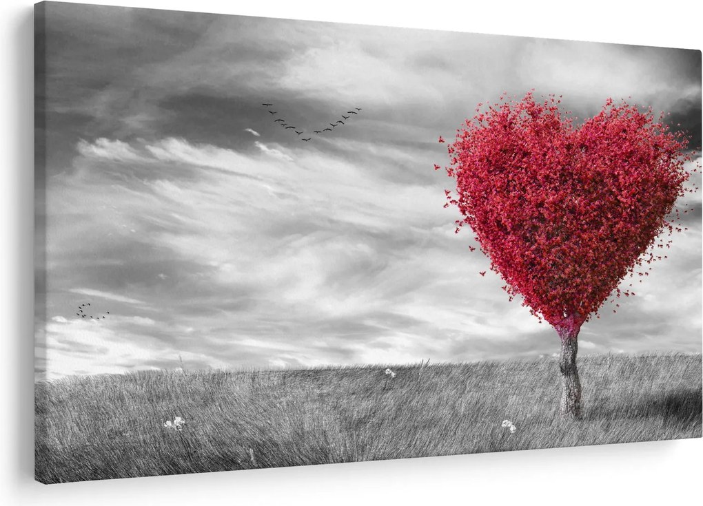Obraz - Srdce korunou stromu (90x60 cm)