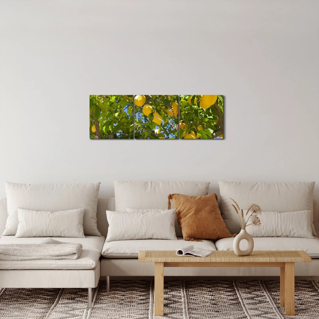 Obraz - Citrónovník (s hodinami) (90x30 cm)