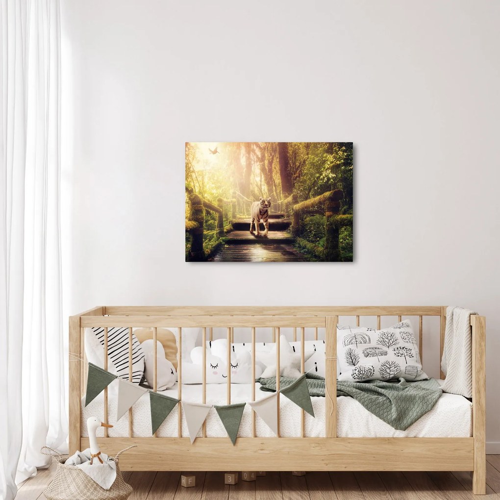 Obraz tigra (70x50 cm)