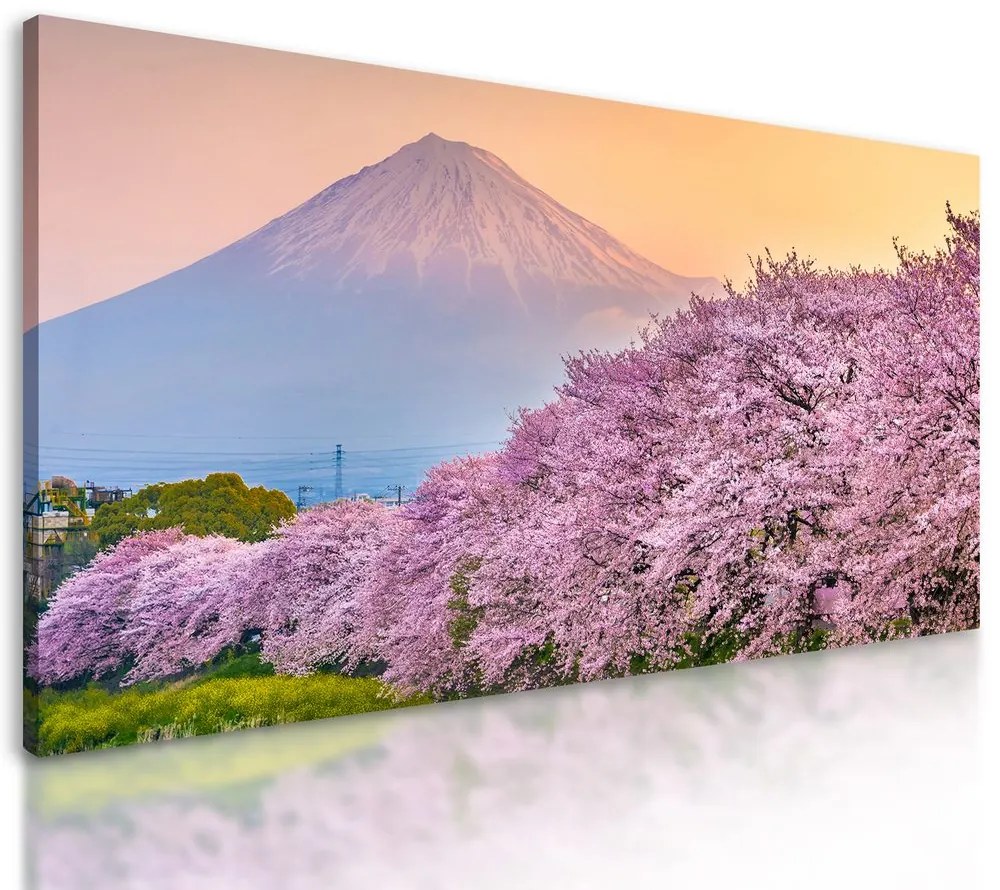 Obraz romantický pohľad na Japonsko