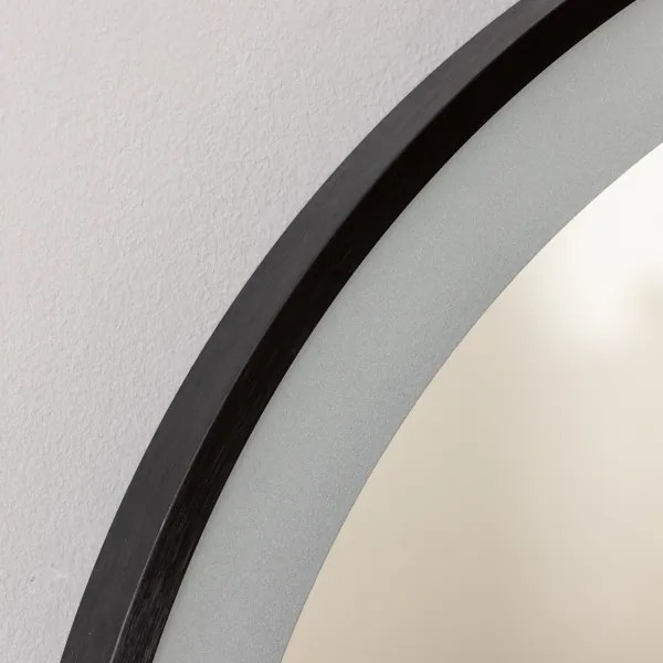 Brilagi-LED kúpeľňové zrkadlo CANZO LED/25W/230V 50x80 cm čierna IP44 CRI 90 stm.+CCT