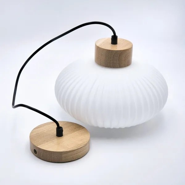 Luster na lanku HARMONY 1xE27/15W/230V pr. 25 cm biela/dub