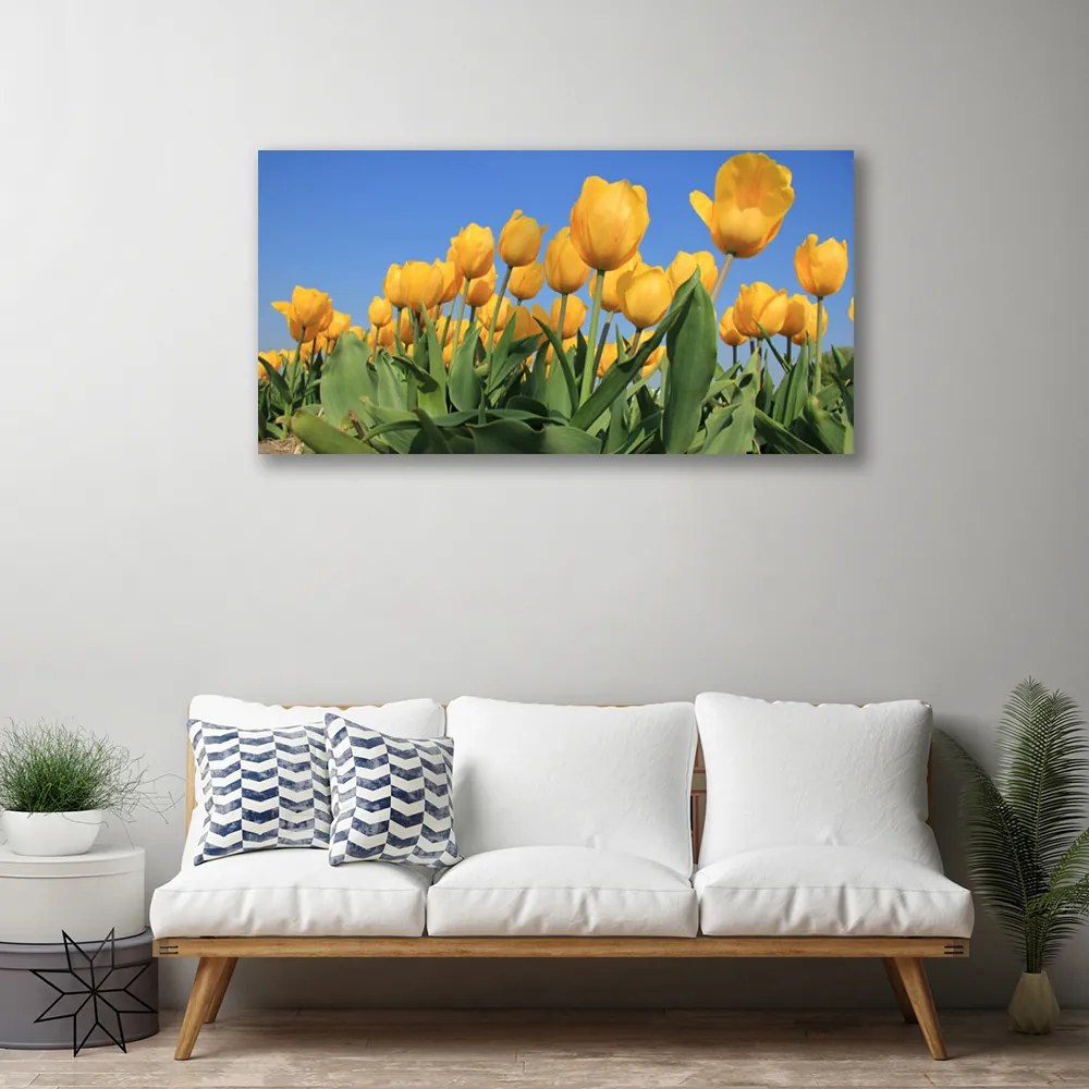 Obraz Canvas Tulipány kvety rastlina 125x50 cm