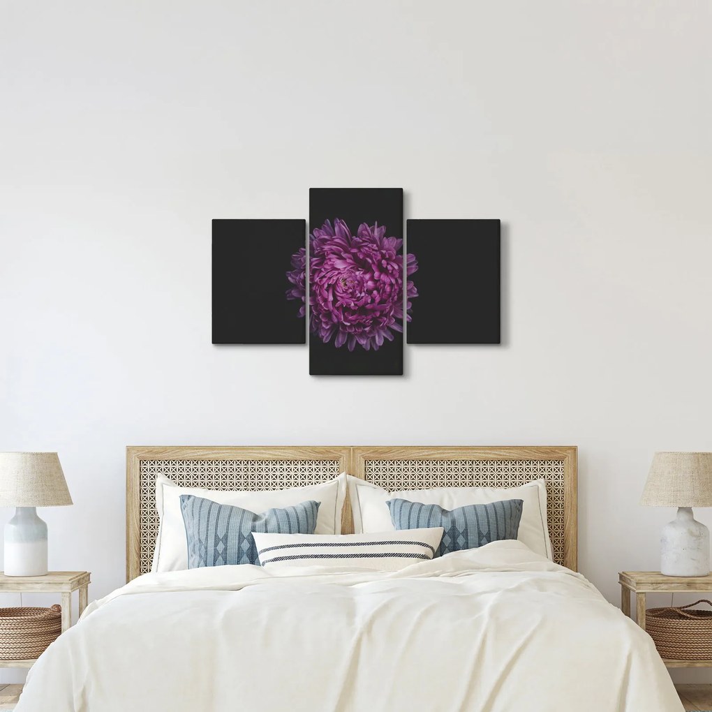 Obraz fialovej kvetiny (90x60 cm)