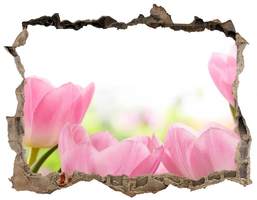Samolepící díra nálepka Ružové tulipány nd-k-76412458