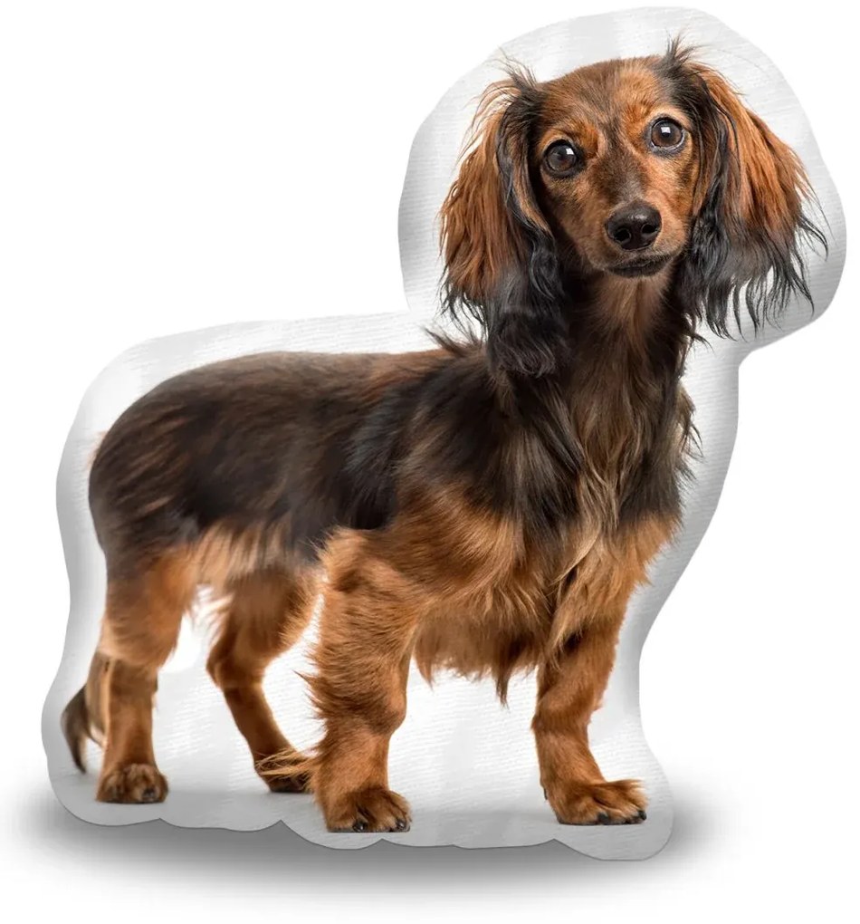 Sablio 3D vankúš Jazvečík