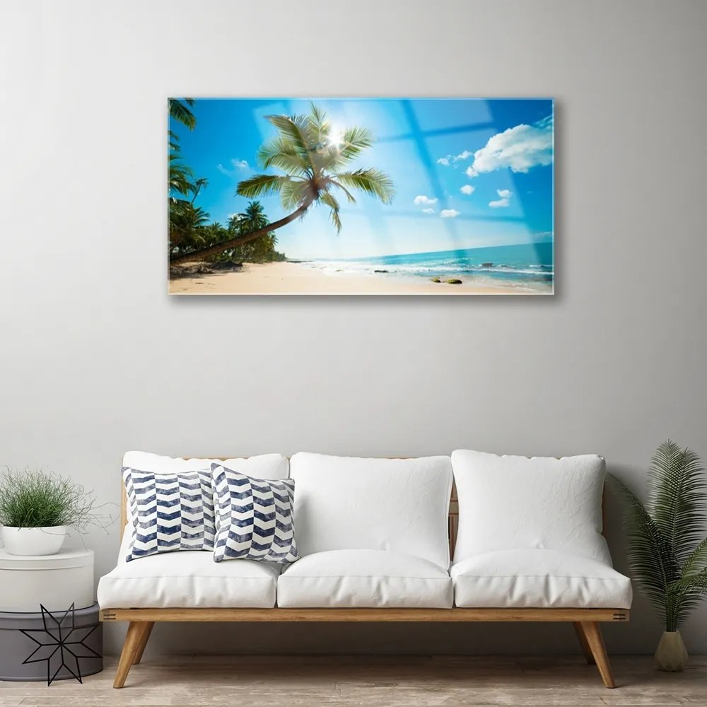Skleneny obraz Palma strom pláž krajina 140x70 cm