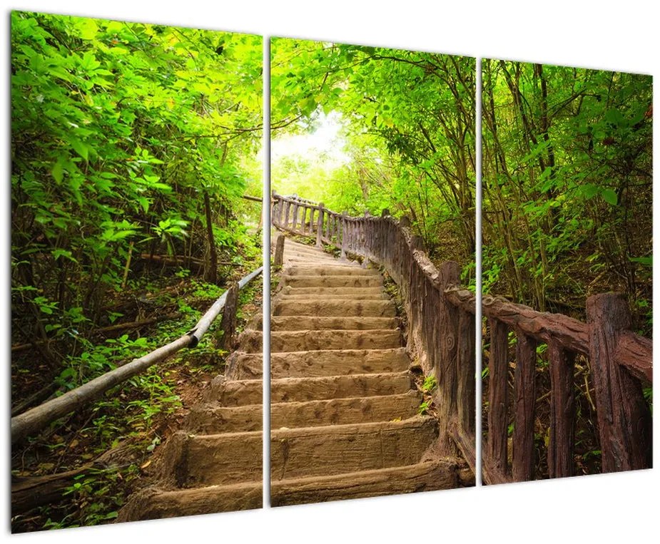Schody v lese - obraz
