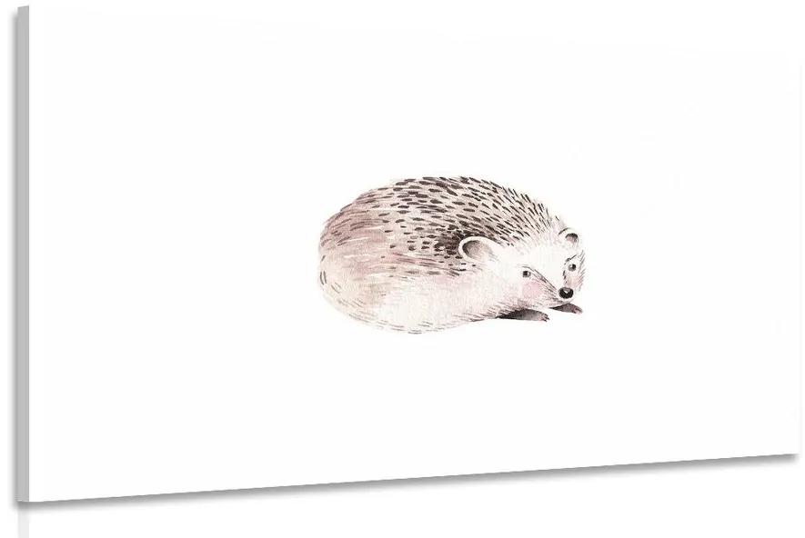 Obraz roztomilý ježko Varianta: 120x80