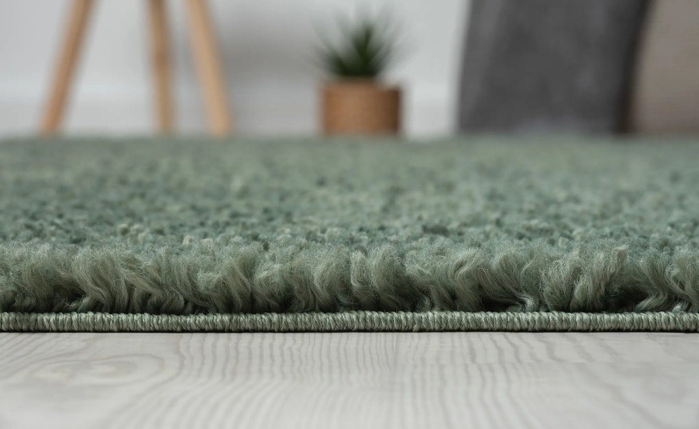My Flair, Kusový koberec My Shaggy hellgrün, 100x150, zelená, chodba / predsieň