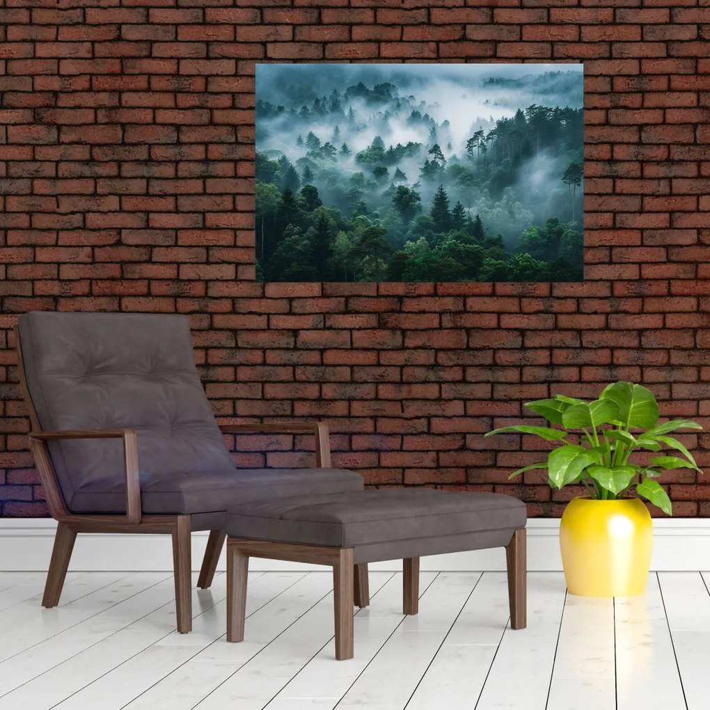 Obraz - Les v hmle (90x60 cm)