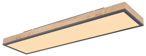 Globo 416080WD4-CCT - LED Stmievateľné stropné svietidlo DORO LED/24W/230V + DO