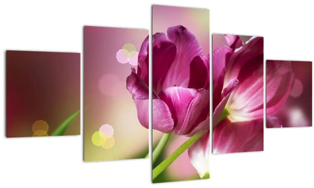 Obraz ružových tulipánov (125x70 cm), 40 ďalších rozmerov