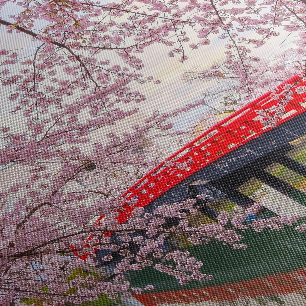 Obraz - Hirosaki, Japonsko (90x60 cm)