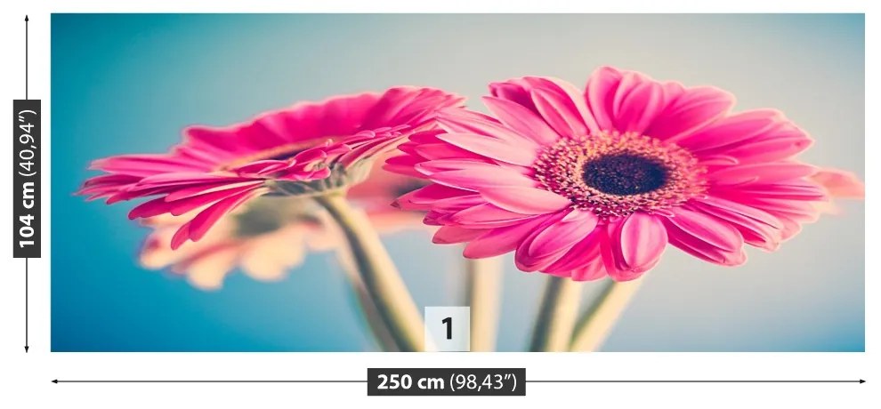 Fototapeta Vliesová Ružové kvety 152x104 cm