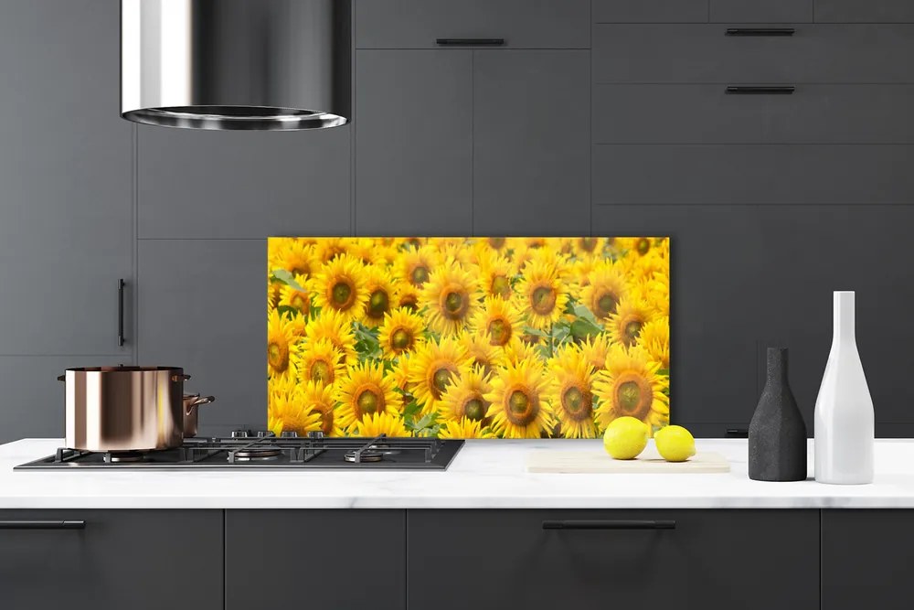 Nástenný panel  Slunecznice rastlina 120x60 cm