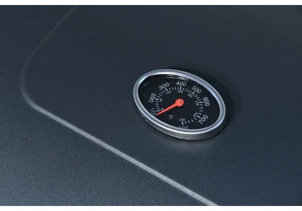 Gril na drevené uhlie čierna