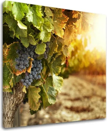 Obraz na stenu KUCHYŇA KU016E12 - 50x50 cm