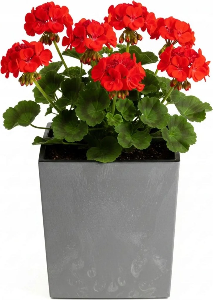 Sada 3 ks květináčů Walter šedý beton