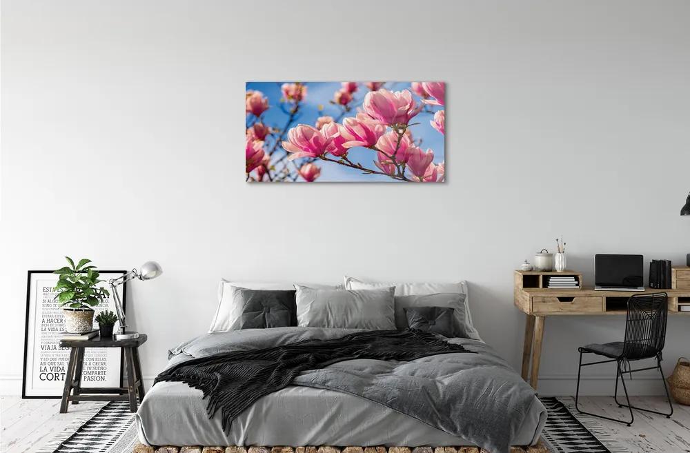 Obraz plexi Kvety 100x50 cm