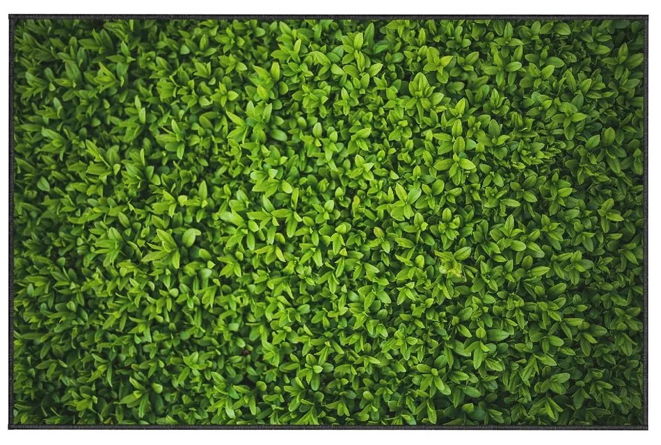 Zelený koberec Oyo home Ivy, 140 x 220 cm