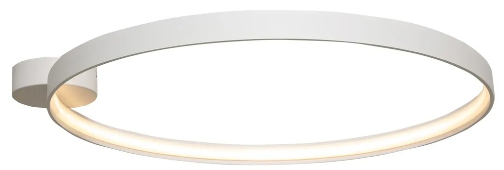 Moderná LED stropná lampa Circle 55 biele