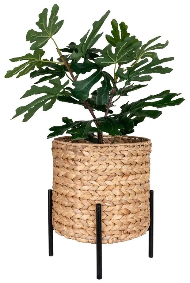 Kvetináč z vodného hyacintu ø 24 cm Antas – House Nordic