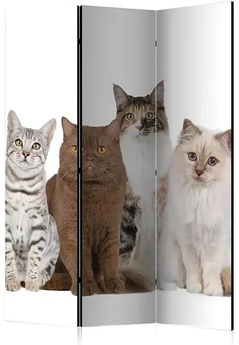 Paraván - Sweet Cats [Room Dividers] Veľkosť: 135x172, Verzia: Akustický