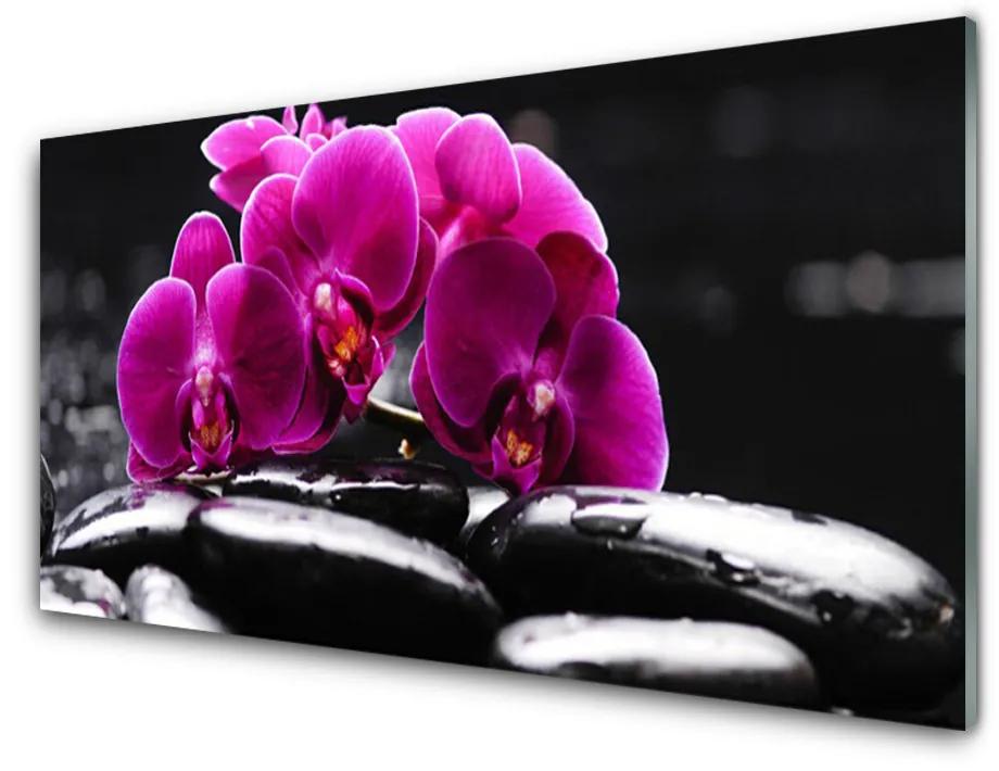 Skleneny obraz Kamene zen orchidea kúpele 140x70 cm