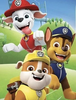 Detská osuška PAW PATROL team 70X140cm Setino Tiahome