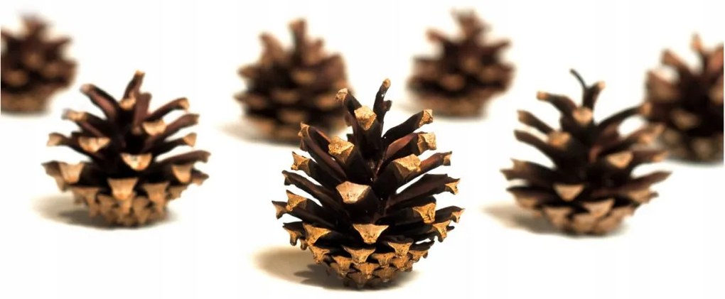 Umelý 3D vianočný stromček BOROVICA smaragdová 160cm so šiškami zasnežená