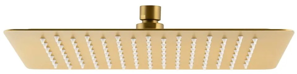 Hlavová sprcha z nehrdzavejúcej ocele v zlatej farbe Slim – Sapho