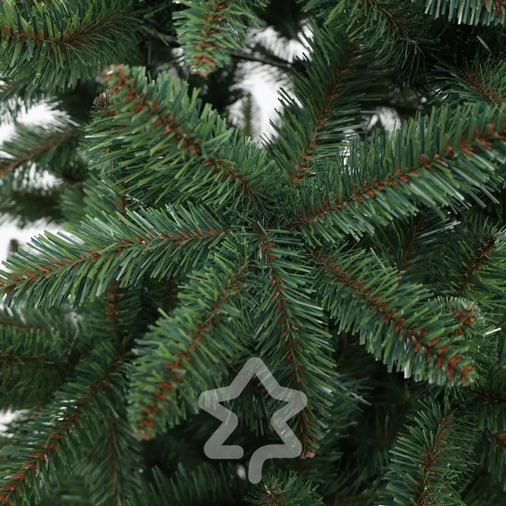 Smrek Kanadský 210 cm