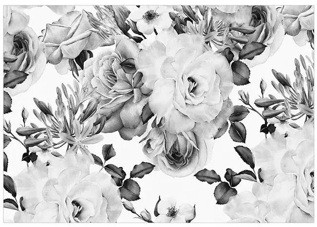 Samolepiaca fototapeta - Sentimental Garden (Black and White) Veľkosť: 392x280, Verzia: Samolepiaca