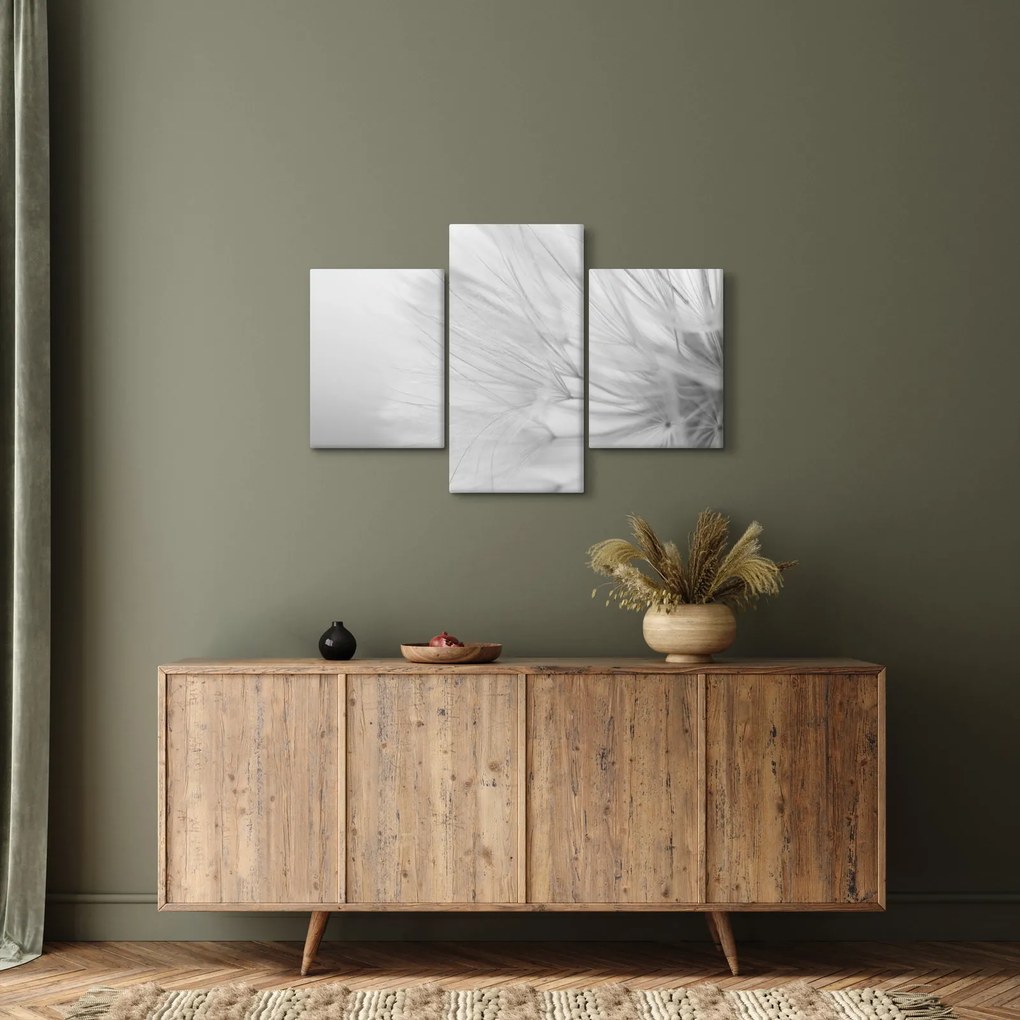 Obraz - Púpava (90x60 cm)